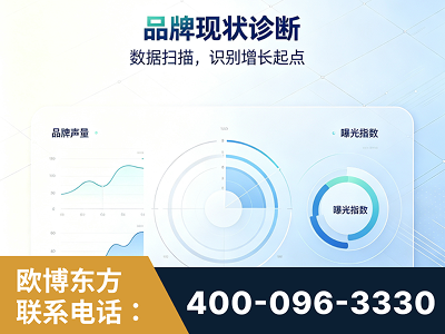 射洪-品牌现状诊断